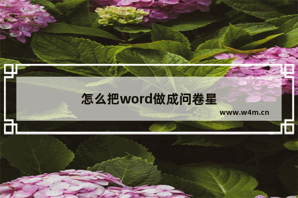 怎么把word做成问卷星