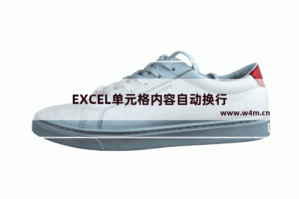 EXCEL单元格内容自动换行