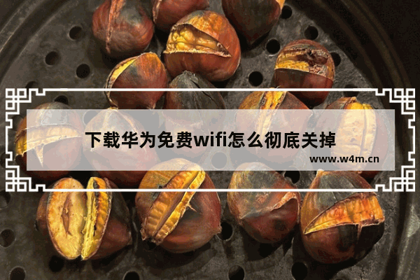 下载华为免费wifi怎么彻底关掉