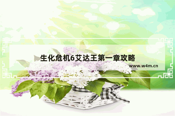 生化危机6艾达王第一章攻略