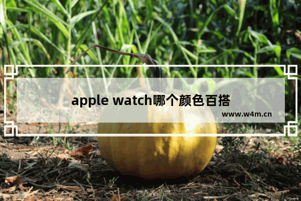 apple watch哪个颜色百搭