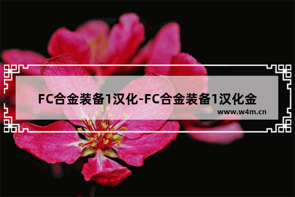 FC合金装备1汉化-FC合金装备1汉化金手指