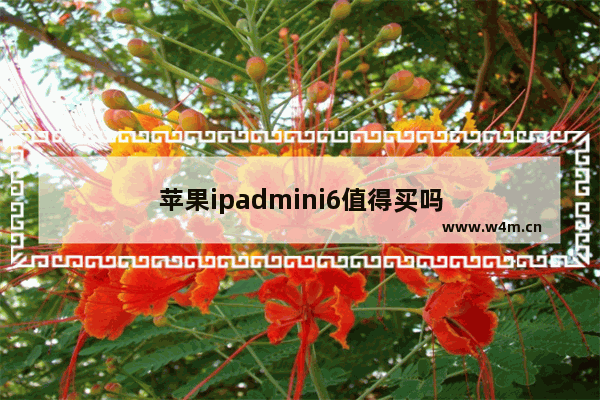 苹果ipadmini6值得买吗