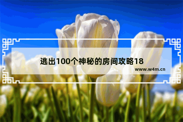 逃出100个神秘的房间攻略18