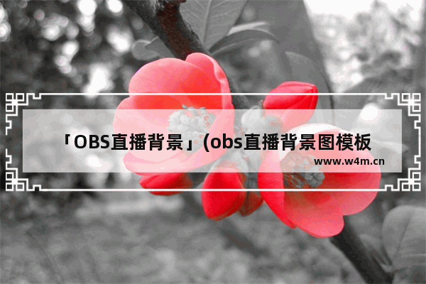 「OBS直播背景」(obs直播背景图模板下载)