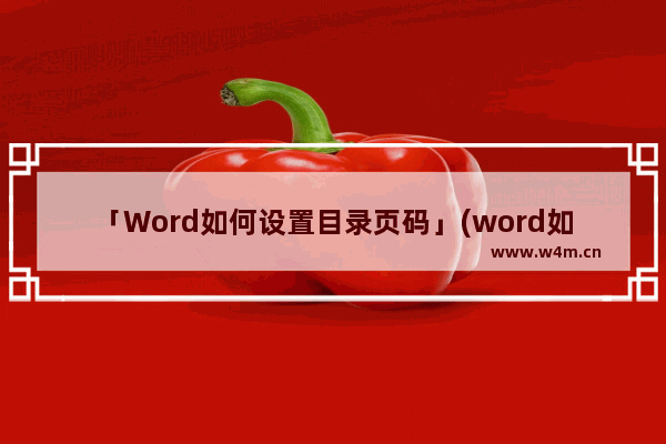 「Word如何设置目录页码」(word如何设置目录页码不计入总页数)