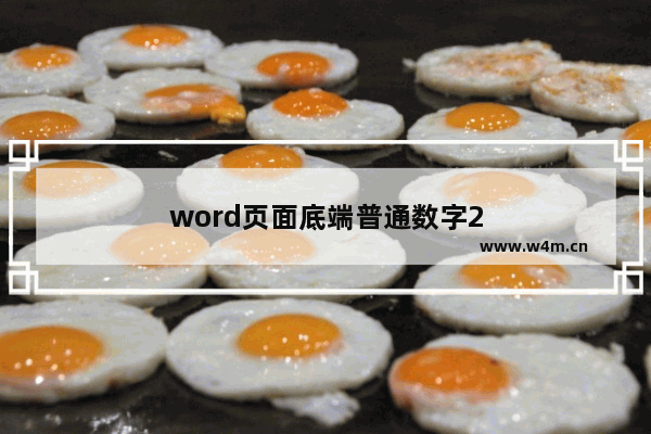 word页面底端普通数字2