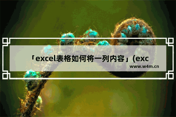 「excel表格如何将一列内容」(excel表格如何将一列内容统一)