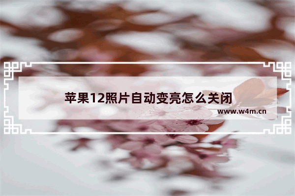 苹果12照片自动变亮怎么关闭