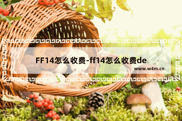 FF14怎么收费-ff14怎么收费de