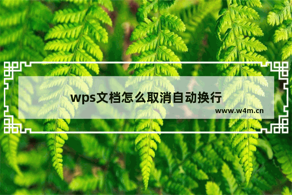 wps文档怎么取消自动换行