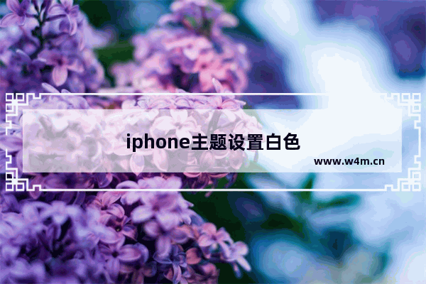 iphone主题设置白色