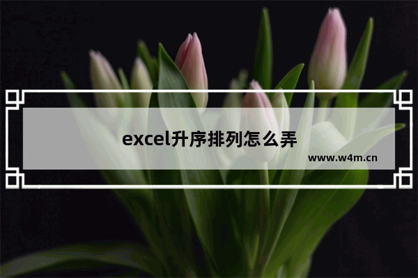 excel升序排列怎么弄