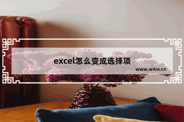 excel怎么变成选择项