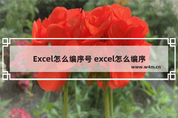 Excel怎么编序号 excel怎么编序号为001