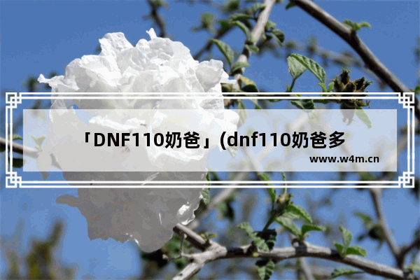 「DNF110奶爸」(dnf110奶爸多少奶量合格)