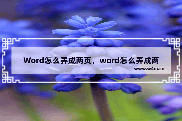 Word怎么弄成两页，word怎么弄成两页并排