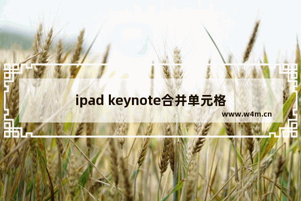 ipad keynote合并单元格