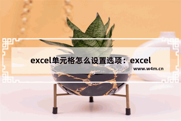 excel单元格怎么设置选项：excel单元格怎么设置选项内容