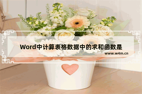 Word中计算表格数据中的求和函数是