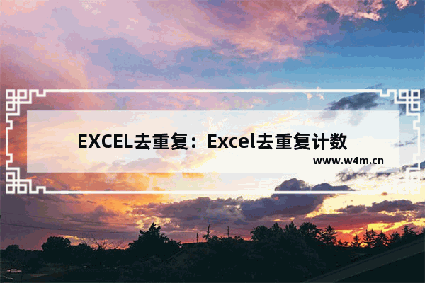 EXCEL去重复：Excel去重复计数