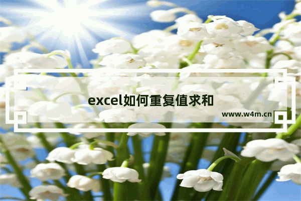 excel如何重复值求和