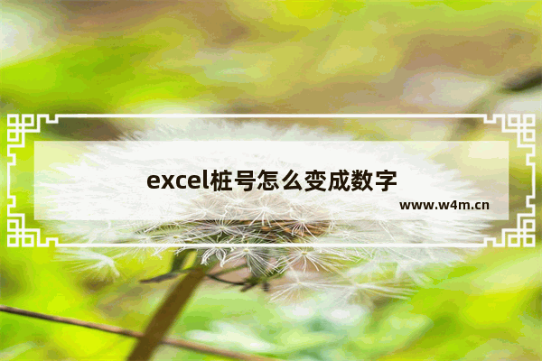 excel桩号怎么变成数字