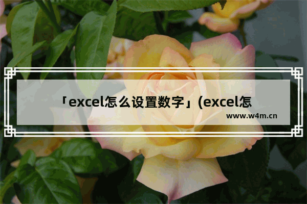 「excel怎么设置数字」(excel怎么设置数字和文字字体)