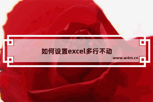 如何设置excel多行不动