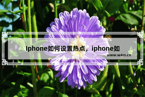 Iphone如何设置热点，iphone如何设置热点限制人数