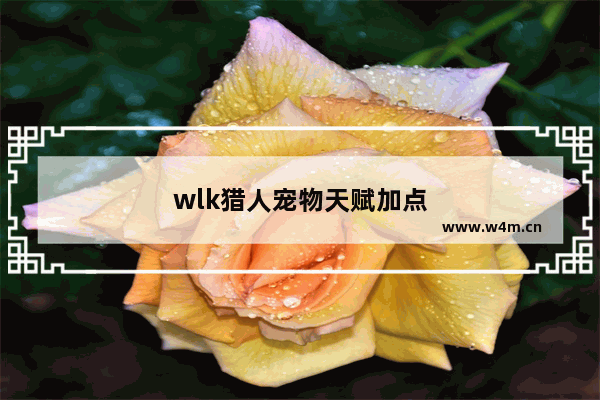 wlk猎人宠物天赋加点