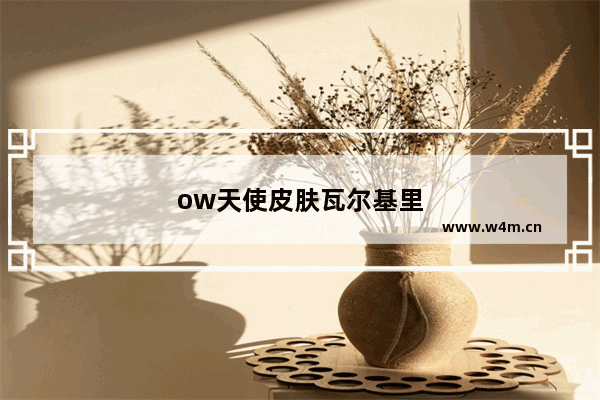 ow天使皮肤瓦尔基里