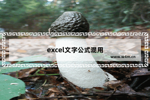 excel文字公式混用