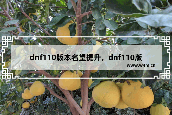 dnf110版本名望提升，dnf110版本名望提升慢