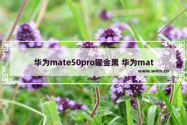 华为mate50pro曜金黑 华为mate50pro曜金黑和昆仑破晓选哪个