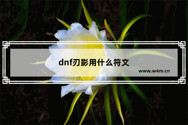 dnf刃影用什么符文