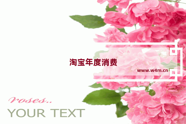 淘宝年度消费