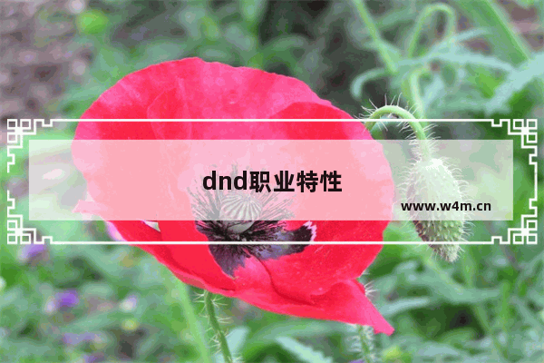 dnd职业特性