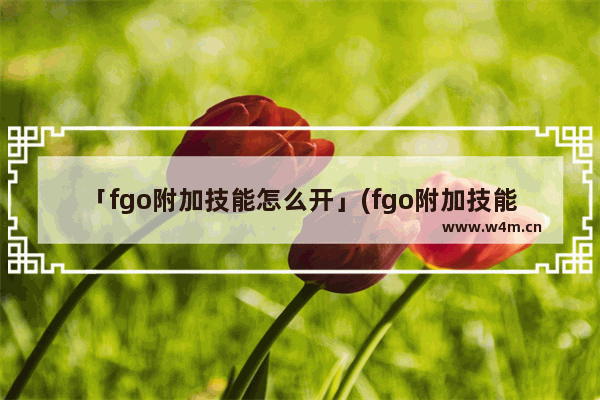 「fgo附加技能怎么开」(fgo附加技能怎么开启)