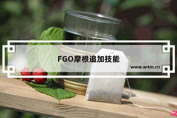 FGO摩根追加技能