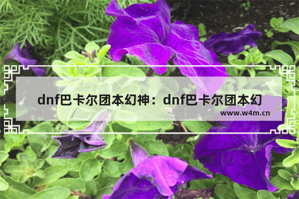 dnf巴卡尔团本幻神：dnf巴卡尔团本幻神职业