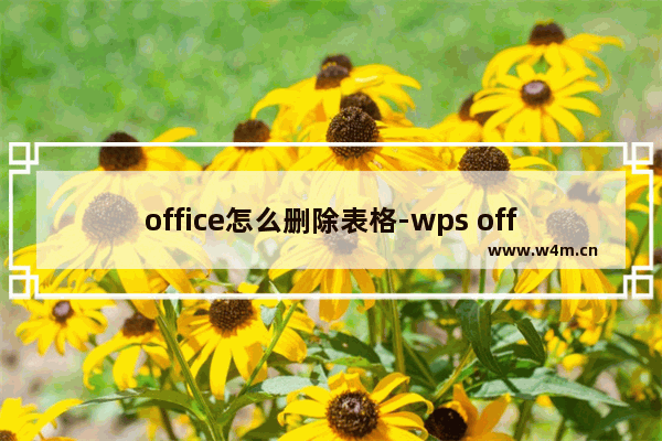 office怎么删除表格-wps office怎么删除表格里的线