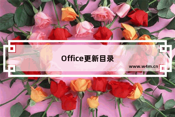 Office更新目录