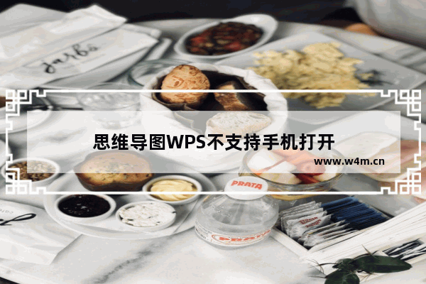 思维导图WPS不支持手机打开