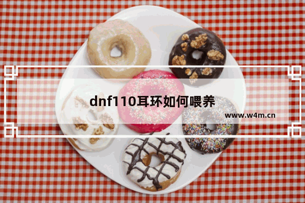 dnf110耳环如何喂养