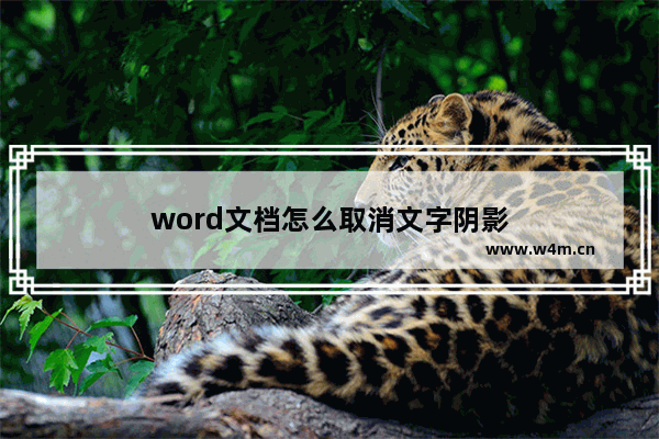 word文档怎么取消文字阴影