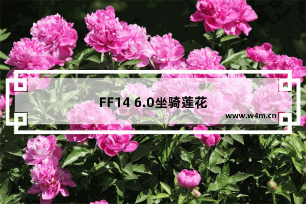 FF14 6.0坐骑莲花