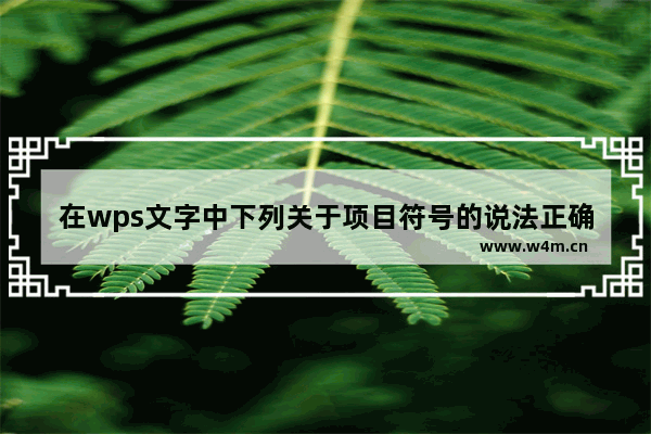 在wps文字中下列关于项目符号的说法正确的是