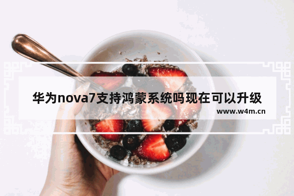 华为nova7支持鸿蒙系统吗现在可以升级吗