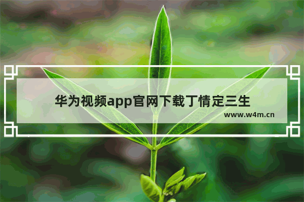 华为视频app官网下载丁情定三生